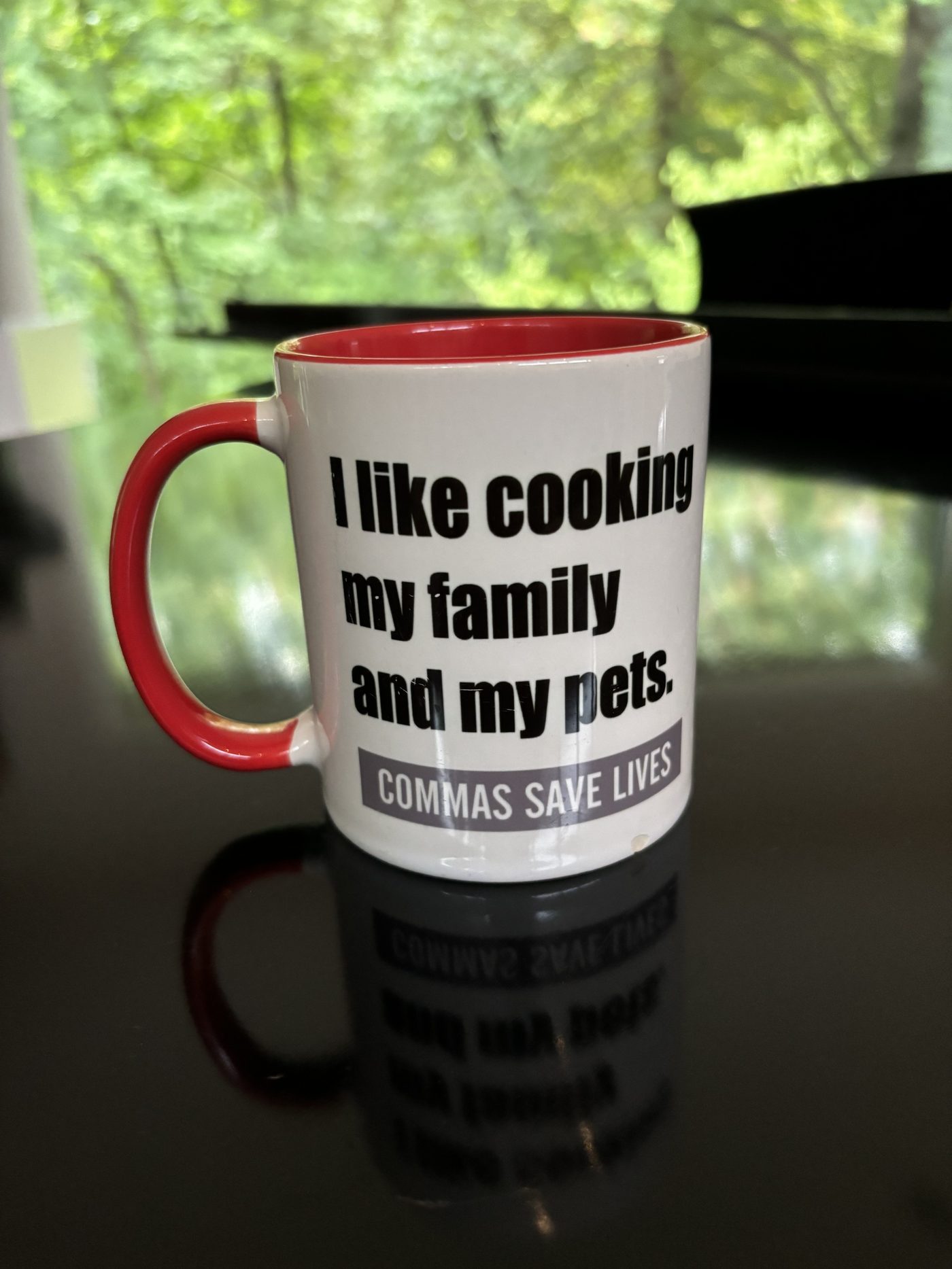 Mug printed with I like cooking my family and my pets, captioned Commas Save Lives